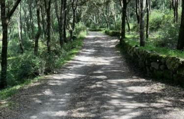 Vivi Natura - Foto 35