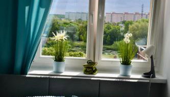Muszelkowa Zatoka - Foto 3