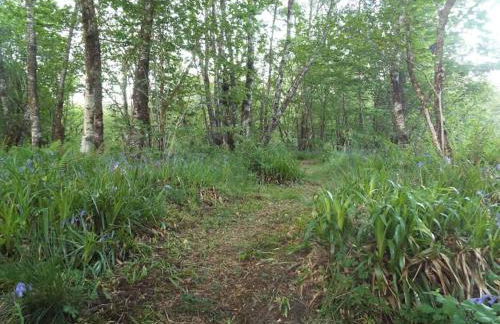 The Singing Heart, TirNaNog Cozy Cottage near Lochgilphead !!HIDDEN GEM!! - Foto 43