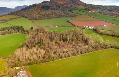 1 Bed in Bryn-y-Gwenin oc-c34139 - Foto 35