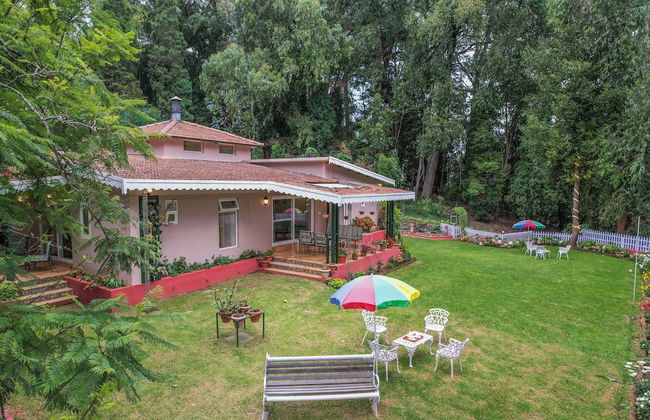 Rayne Forest - Foto 16