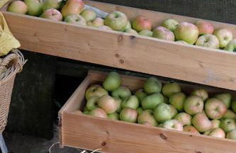 Anitas Landerlebnis - Foto 8