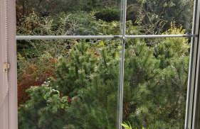 Kaszubiana direkt in der Natur - Photo 15