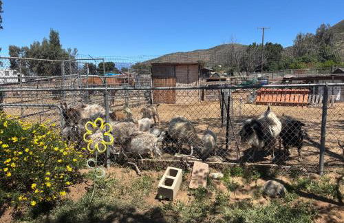 Peaceful & Cozy 3 bedroom Ranch-Home w/Fireplace - Foto 8