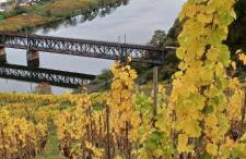 Ferienwohnung Heideberg - Foto 23