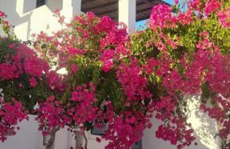 Marousω's Μaisonette - Photo 1