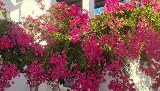 Marousω's Μaisonette - Foto 1