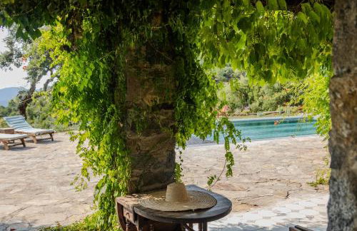 Mas provençal avec piscine chauffée, tennis, pétanque, vue mer, 20 min St Tropez - Foto 78