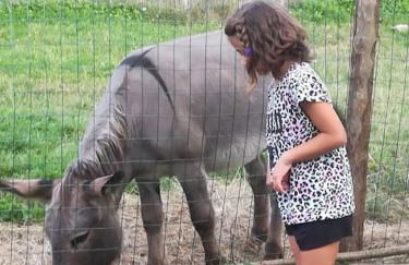 La Casa di Loia, casa vacanze con piscina esclusiva - Foto 28