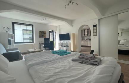 OASE im grünen Hinterhof, EG, Ruhe, Terrasse, Carport, free PayTV, Kaffee&Tee, Fahrräder - Foto 36