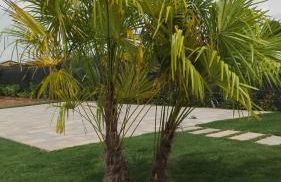 Agriturismo Pigno - Foto 25