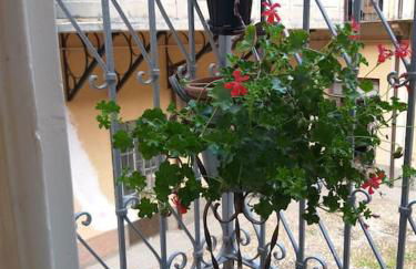 La Falconiera - Photo 5