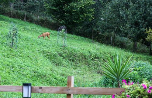 Caserío Ea - Foto 9