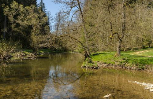 63qm im Eschachtal - Foto 10