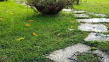 Casa Teresinella Garden - Foto 5