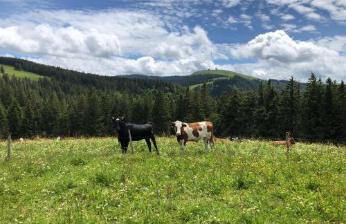 Ferienwohnung am Schneeberg - Foto 39
