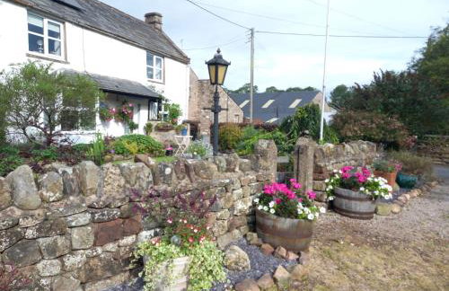 Westwood Farm - Photo 30