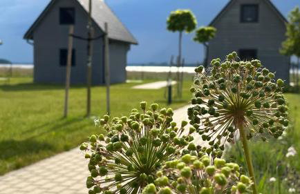 Słoneczna Przystań - Foto 41