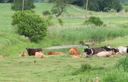 Mazurski Raj - Komfortowy dom nad jeziorem - Foto 52