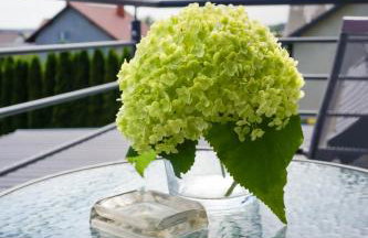 POKOJE GOŚCINNE IRGA - Foto 56