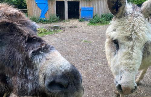 Kergarec gite H - Foto 7