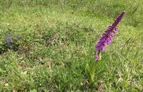 Landhaus Renata Bayrischzell - Foto 78