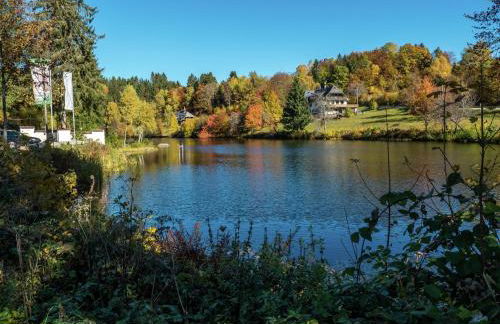 Forsthauswohnung im Schwarzwald - Foto 33