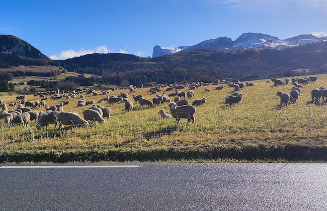 Superdevoluy545S - Photo 47