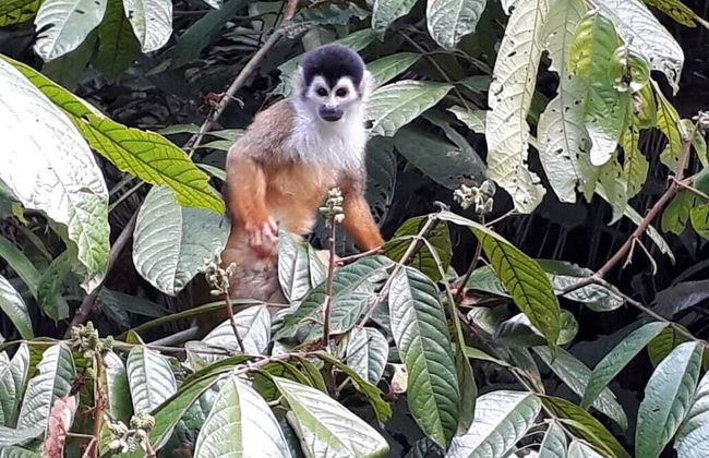 Villas Octogoña - Foto 32