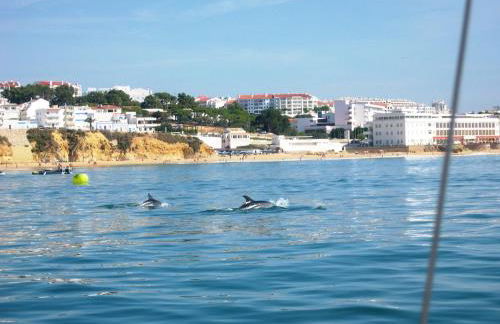 VILLA EBER - independent 1 & 2 bedroom apartments, pool, air con, fast Wi-Fi, near old town of Albufeira and beaches - Foto 52