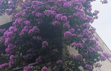 Apartment Marta - free parking! - Photo 28