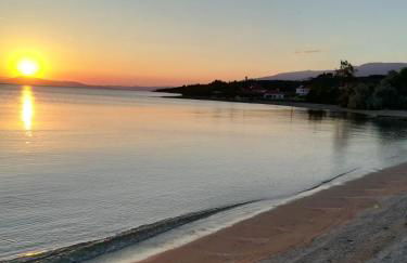 Almira Kalamos - Foto 35