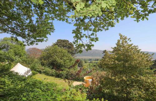 Ty'n y Cae - Foto 53