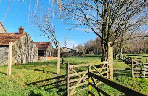 The Little Cottage - Peaceful, Dog Friendly Cottage in 5 Acres - Photo 16