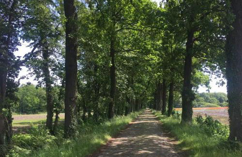 Landidyll - Bauernhaus Ländchen Bellin - Photo 49