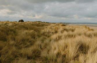 An elegant countryside hideaway with four indulgent ensuite bedrooms - Foto 37