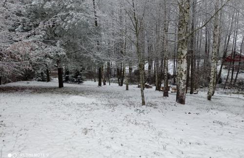 Brzozowy Chillout - Foto 6