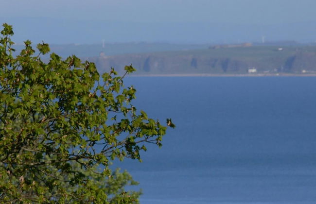 Rustic Log Cabin - Foto 12