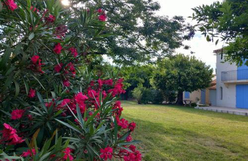 La maison des Alpilles - Foto 10