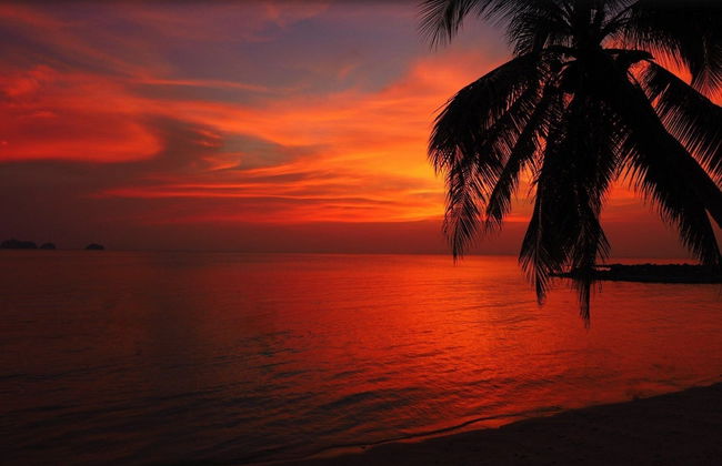 Sibaja Palms Sunset Beach Luxury Villa - Foto 54