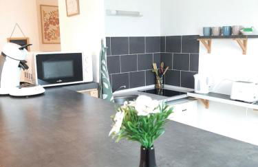 proche aéroport a pied O fleuri - Foto 7