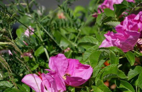 Haus Vita Ferien-und Seminarhaus - Foto 14