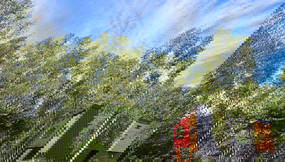 Green Saso - Foto 1, Imagen principal