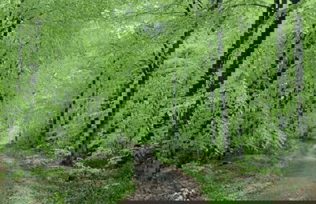 Hogelia Comfortable Holiday Residence - Foto 20