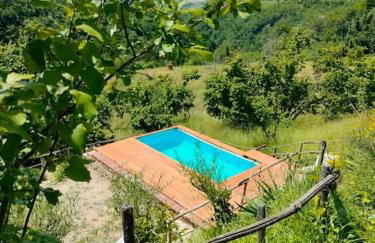 Casa in campagna nelle Langhe - Foto 3