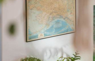 The Kenai River King - Foto 27