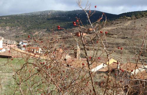 Cielo de Camarena - Foto 18