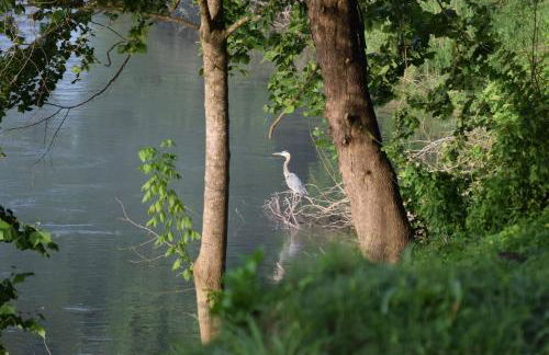 White River Landing - Foto 32