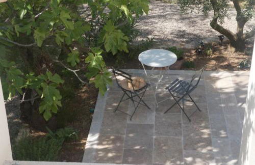 Sous le figuier - Foto 8