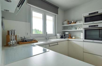 Green Forest - Photo 13